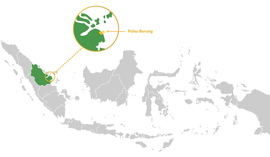 map indonesia